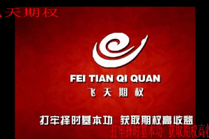 肖淳心飞天期权之希腊字母