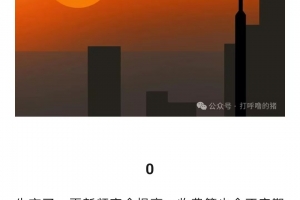 付费文打呼噜的猪-这波上涨的高度