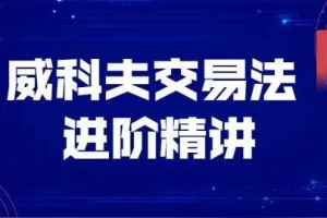 飞云金教《威科夫量价分析》