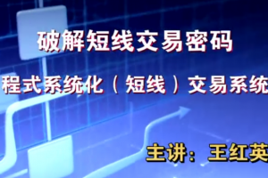 【王红英】期货日内短线交易技术视频教程波段战法视频 13集