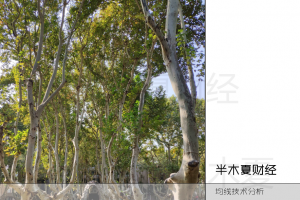 币圈半木夏 战法策略1年400倍的交易细则、均线技术分析、半木夏语录