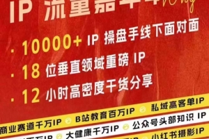 群响IP流量嘉年华10-27，现场视频+IP江湖2024典藏版PPT
