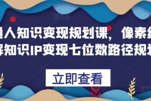 鹿盈盈普通人知识变现规划课，像素级拆解知识IP变现七位数路径规划