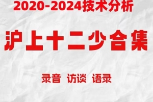 沪上十二少期货培训课程 波段趋势交易2019-2024技术分析 小红圈资料