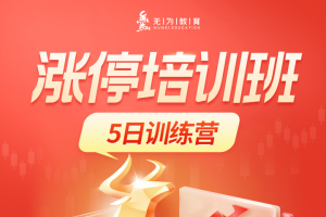 涨停培训班 5日特训营-无为二师兄李栋