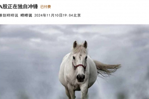 咩咩说11月10日付费文-A股正在独自冲锋