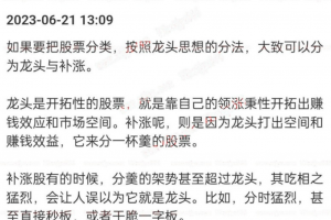 总龙头战法 龙头与补涨 PDF文档