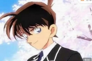 财品新亿财品新壹 财品新一 顶级情绪周期完整体系 音频+文档