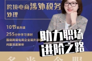 多米跨境电商涉外税务处理，跨境税务宝典教程：跨境电商全球税务处理策略