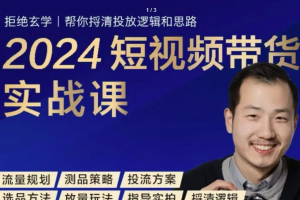 2024短视频带货实战课，短视频图文带货底层逻辑