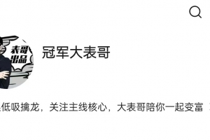 【冠军大表哥】主线核心专栏,大表哥价值百万投资课，低吸擒龙情绪周期