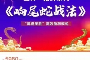 老姜盘口一招鲜系列《响尾蛇战法》“尾盘至胜”高效盈利模式