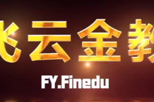 飞云金教《波浪理论精讲》