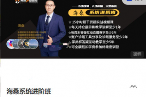 海桑N型波段，海桑系统进阶班期货课程