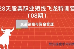 天智一飞《28天股票职业短线飞龙特训营08期》一飞金融