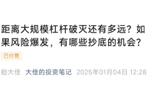 大佳的投资笔记20250104付费文-距离大规模杠杆破灭还有多远？如果风险爆发，有哪些抄底的机会？ 1PDF