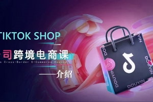 卡司TikTok电商课程，系统学习TK电商起号到变现