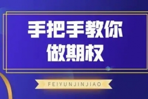 飞云金教《手把手教你做期权》