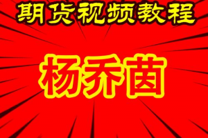 杨乔茵落地课合集期货训练营