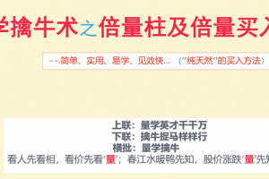 孙小飞《量学擒牛术之倍量买入法之实战交易系统》8PDP干货文档