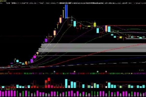 【量学大讲堂】2024年12月–2025年1月-姜灵海归零启航复盘分析第92期 8视频