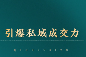 引爆私域成交力系统课，打通底层逻辑，5步3力做高质量私域