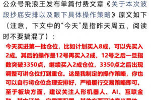 公众号飞浪王2月7日付费文-关于本次波段抄底安排以及具体操作策略.pdf