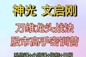 神光文启刚 万维龙头战法股市高手密训营系统课+小班课+日报+指标