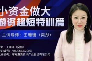 王珊珊(奕彤)奕彤说财经小资金做大游资超短特训篇