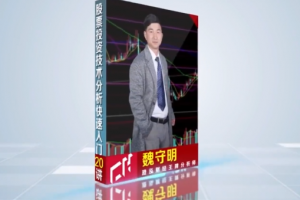 澄泓财经魏守明股票投资技术入门（全20讲）股票技术分析教程