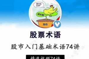 【张一山】炒股基础入门股市基础术语精讲74集