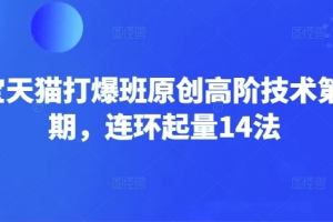 叮当会淘宝天猫打爆班原创高阶技术第66期，连环起量14法