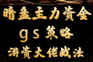 平民翻身暗盘主力资金 gs策略方法 游资大佬战法教学视频