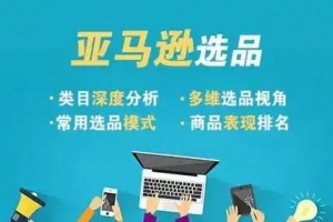 阿甘2025年亚马逊跨境电商选品案例，跨境电商利基选品