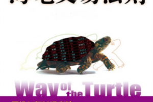 【期货课程】海龟交易法则 海龟交易特训 海龟交易系统视频教程