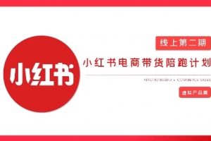 2025小红书虚拟电商实战课，从0到1打造无货源店铺，AI+爆款笔记轻松变现