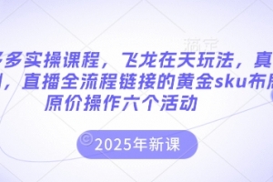 拼多多实操课程，飞龙在天玩法，真实案例，直播全流程链接的黄金sku布局原价操作六个活动