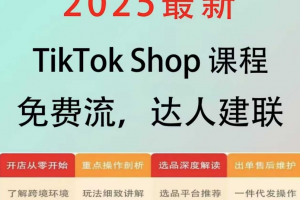 跨境电商东南亚TikTok Shop3.0课程，TK小店从初级到高阶，运营出单干货输出
