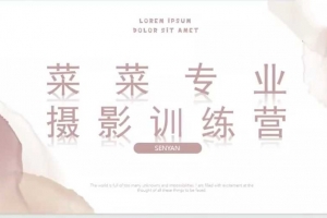 菜菜手作专业摄影训练营2025，手作摄影的艺术之旅