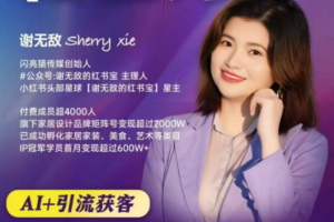 谢无敌2025小红书精准获客大会，深度拆解小红书获课AI智能体，让创作更简单