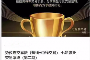 势位态交易法（短线+中线交易） 七姐职业交易系统