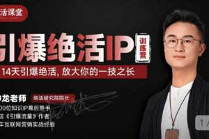 坤龙老师引爆绝活IP训练营，14天引爆绝活，放大你的一技之长