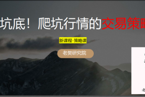 老樊研究院 坑底！爬坑行情的应对策略！20250420