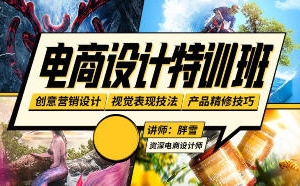 胖雪电商设计速成班