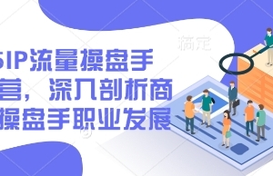 2025IP流量操盘手训练营，深入剖析商业IP操盘手职业发展
