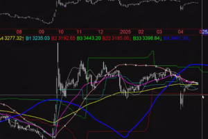 时空趋势线2025.5.5技术分析3.0第一讲 怎样才算好的指标体系？ 1视频