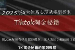 TikTok跨境2025淘金秘籍，2025TikTok从0到盈利变现