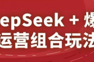秋秋DeepSeek+爆品运营组合玩法，2025淘系精品课