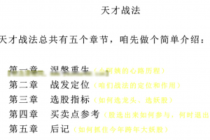 天才小阿姨，天才战法 1文档