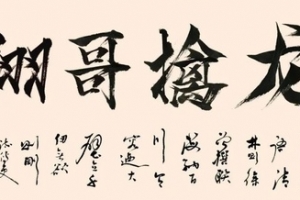 【翔哥擒龙】逻辑为王训练营